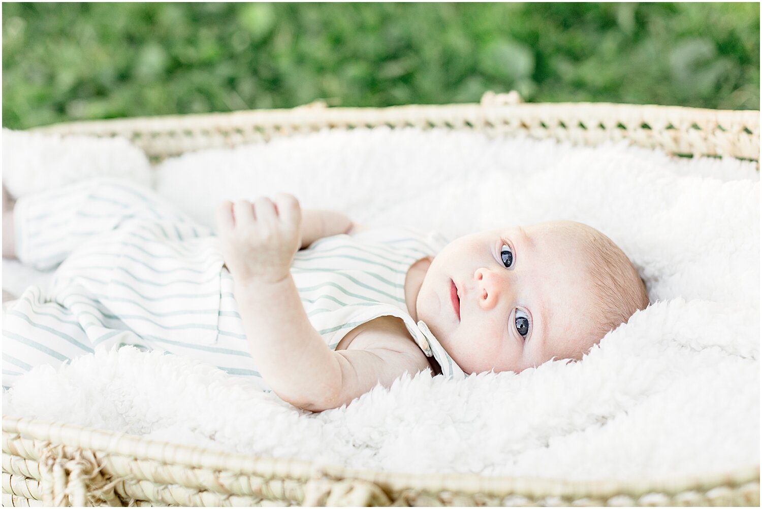 Outdoor newborn photoshoot using Moses basket. Photos by Connecticut Baby Photographer, Kristin Wood Photography.