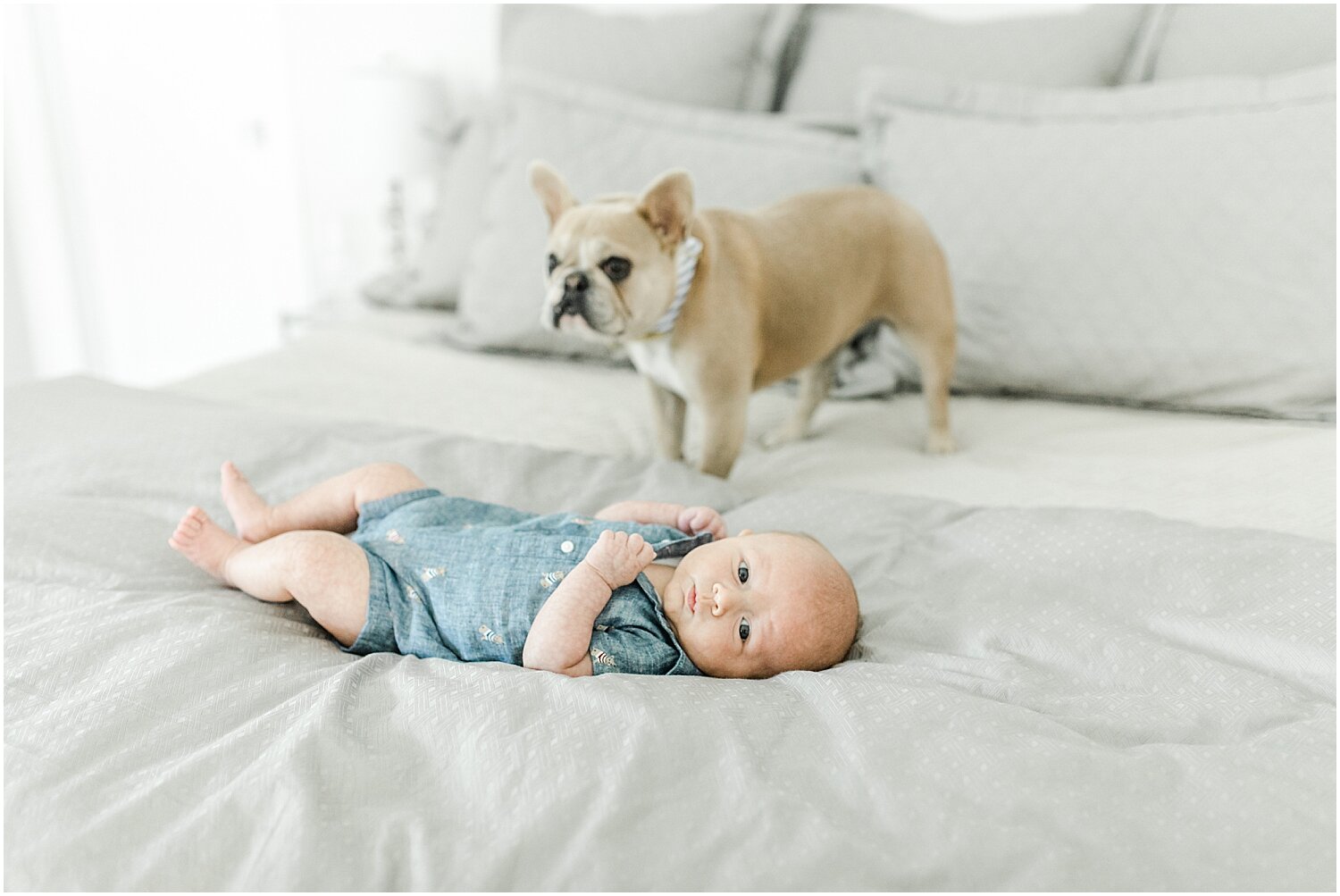 Baby + dog together at in-home newborn lifestyle session. Photos by New Canaan Newborn Photographer, Kristin Wood Photography. 