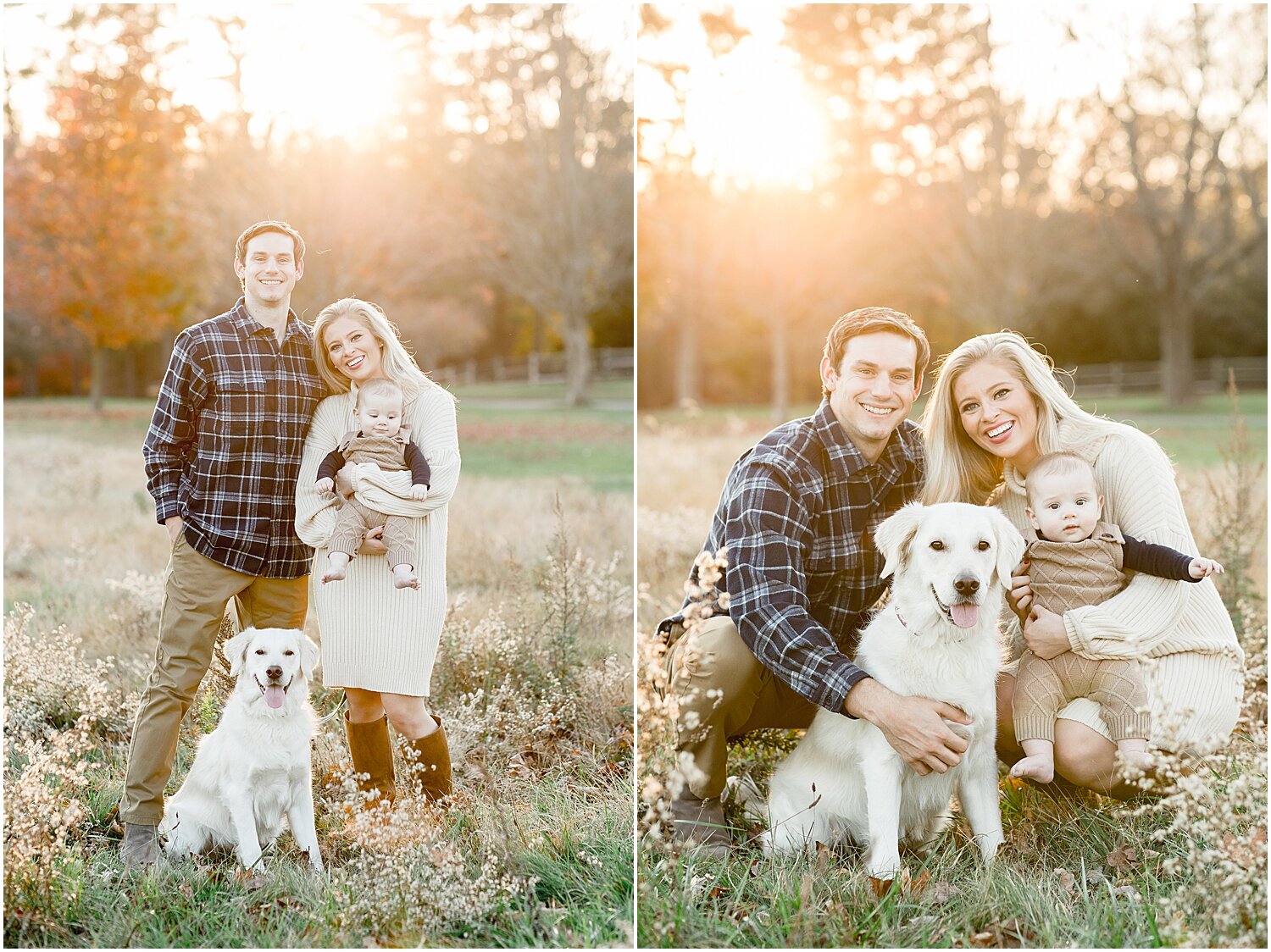 Family takes photos in the field at Waveny Park with dog. Photos by Connecticut Family Photography, Kristin Wood Photography.