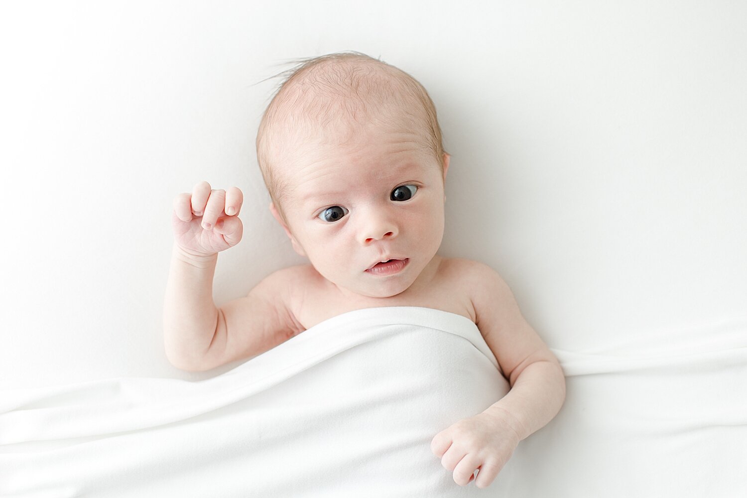 Baby boy studio newborn session. Photo by Kristin Wood Photography.